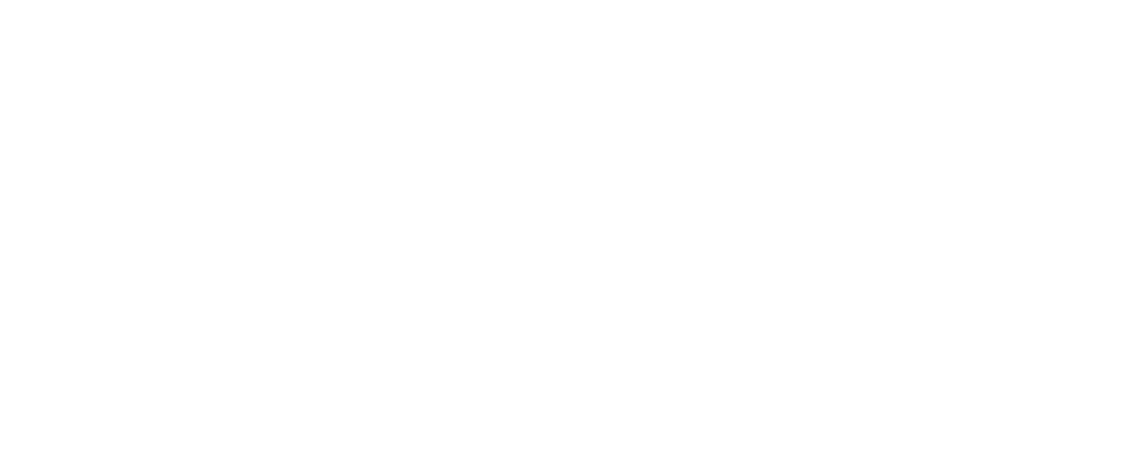 ELSIS - English Language Schools logo