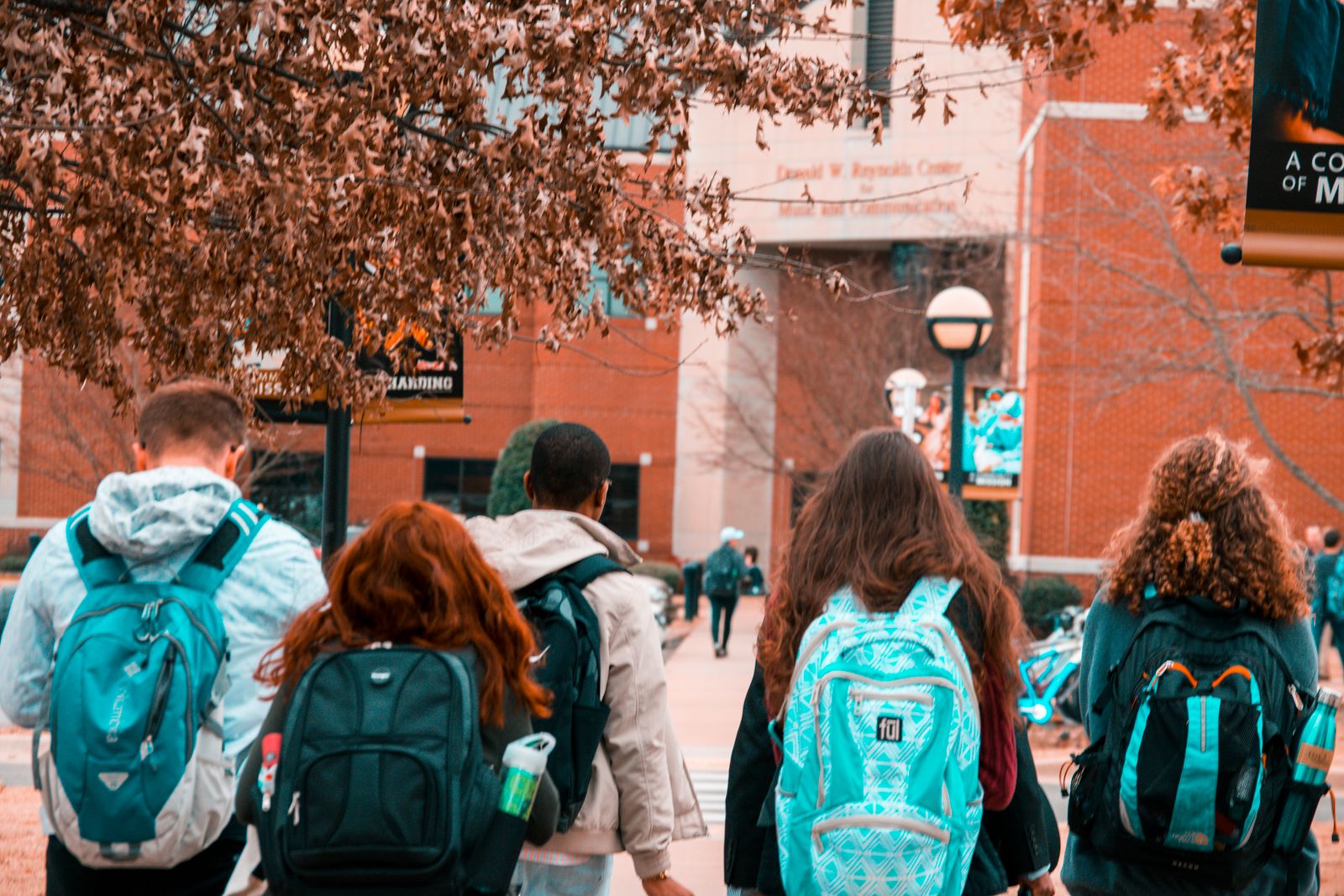 Finding the right engineering pathway overseas